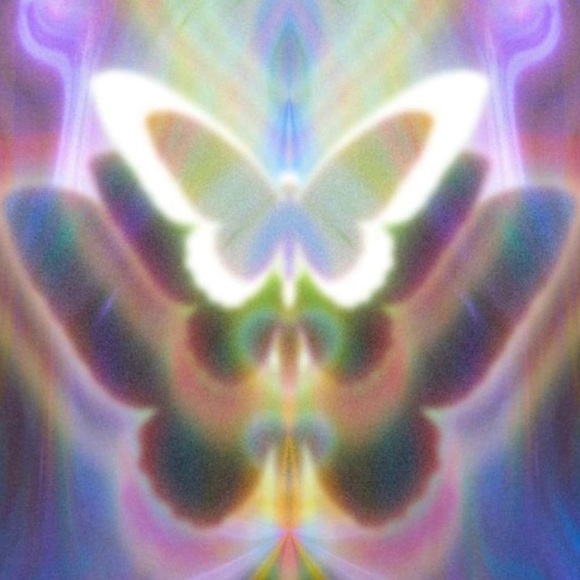 Meet your Posher, Sara - Picture 3 of 3